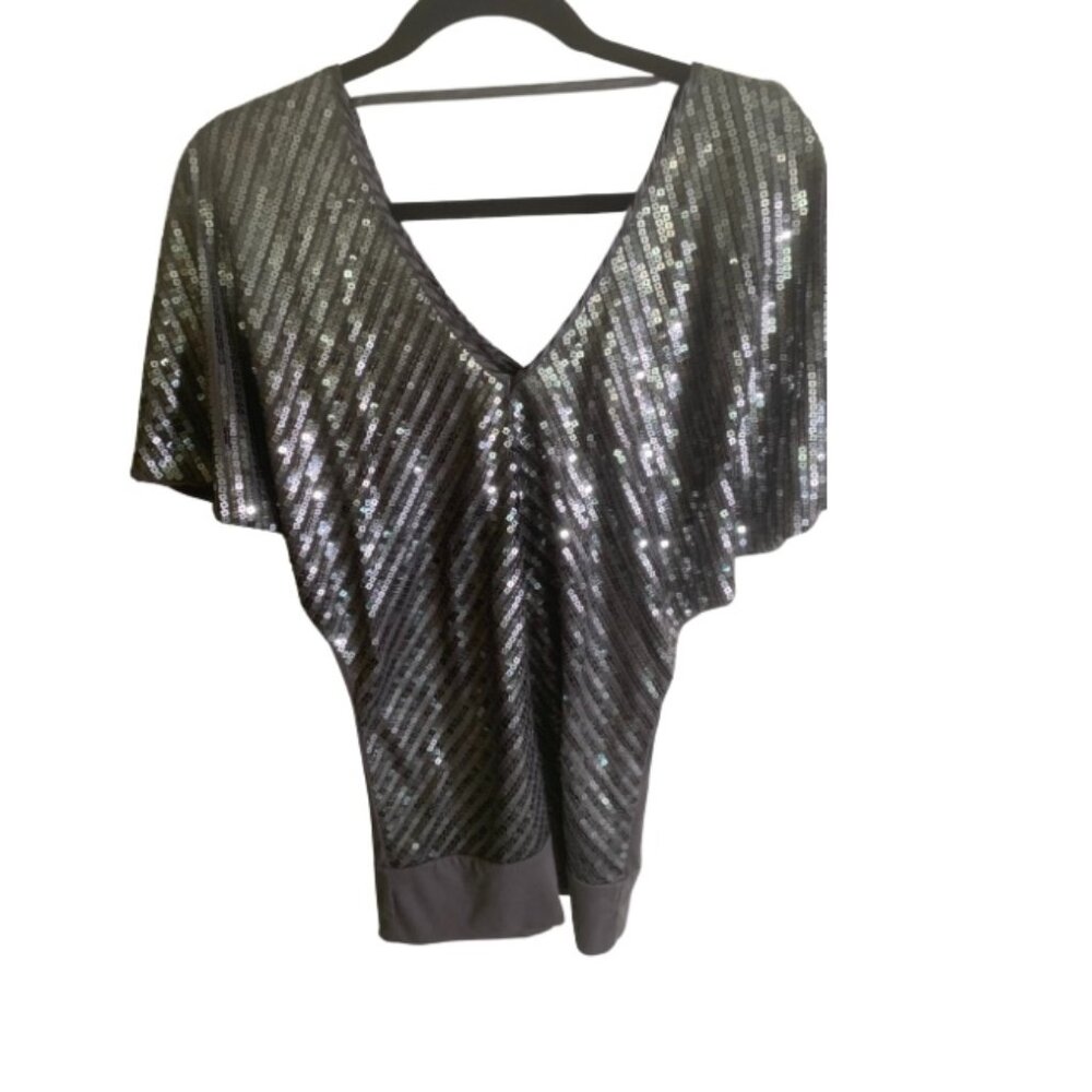 Silver Sequence Dress Top